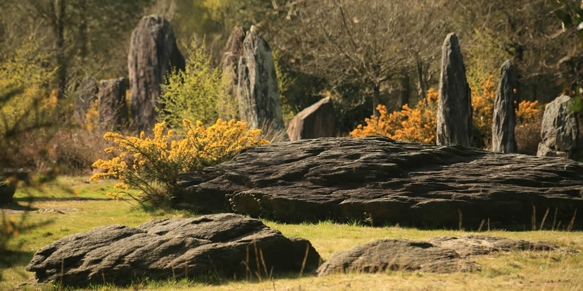 Sur le site mégalithique de Monteneuf : les menhirs